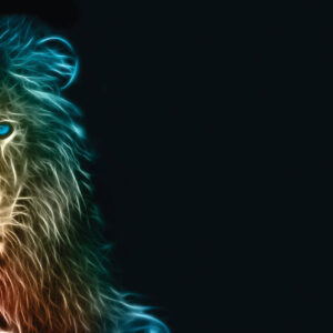 LION – CERTIFICACIÓN EN LIDERAZGO CON ENFOQUE A RESULTADOS