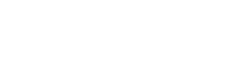 logocaminerwhite